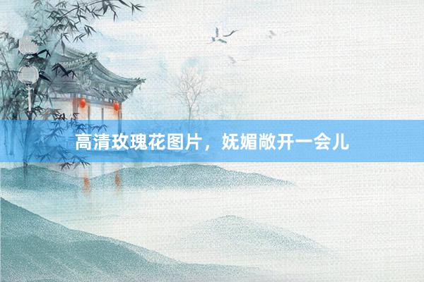 高清玫瑰花图片，妩媚敞开一会儿