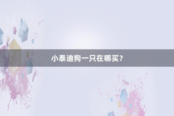 小泰迪狗一只在哪买？